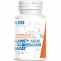 ALAVIS™ MSM + Glukózamín sulfát 60 tbl