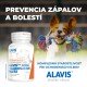 ALAVIS™ MSM + Glukozamín sulfát na pohybový aparát
